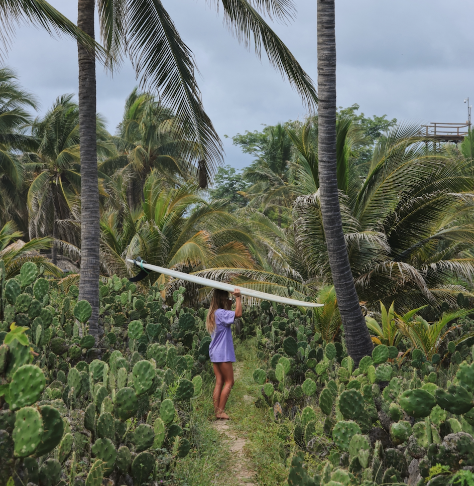 Person holding a surfboard amidst tropical plants and palm trees